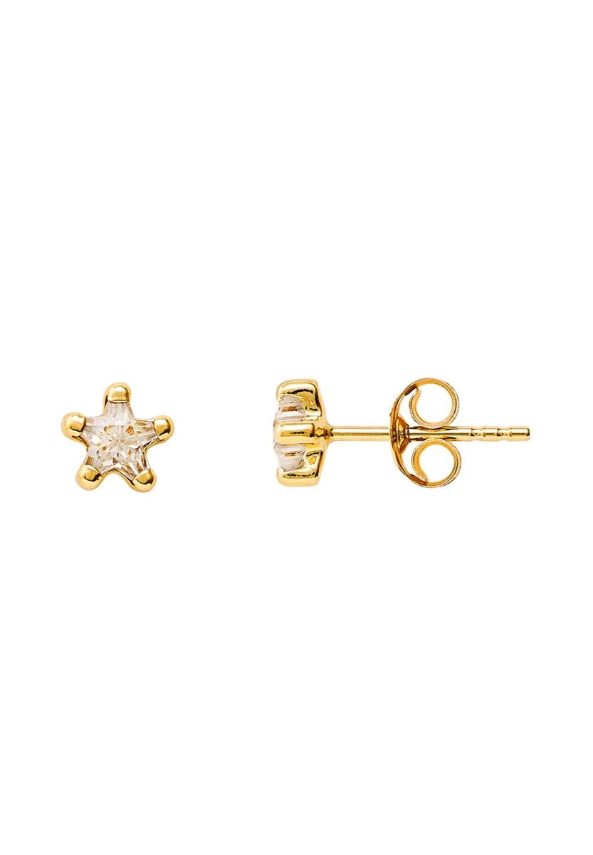Elegante Goldene Ohrstecker