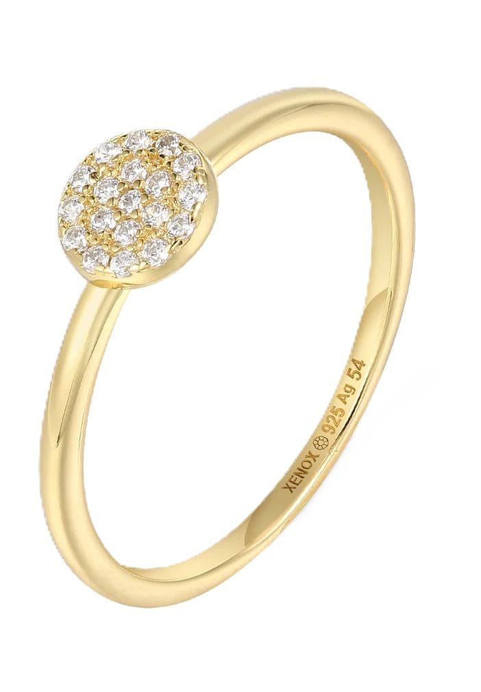 Zarter Ring mit Zirkonia-Kreis