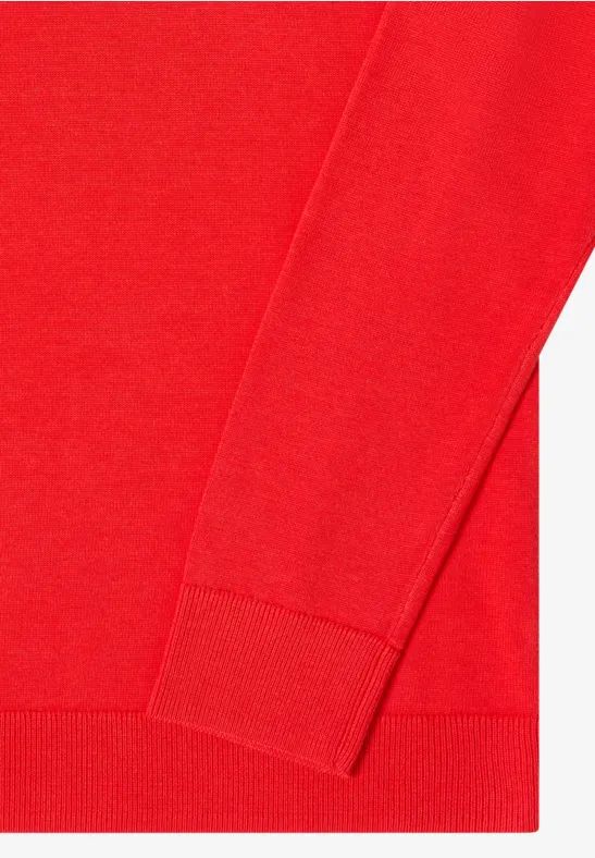 Klassischer Feinstrick-Pullover mit Rollkragen