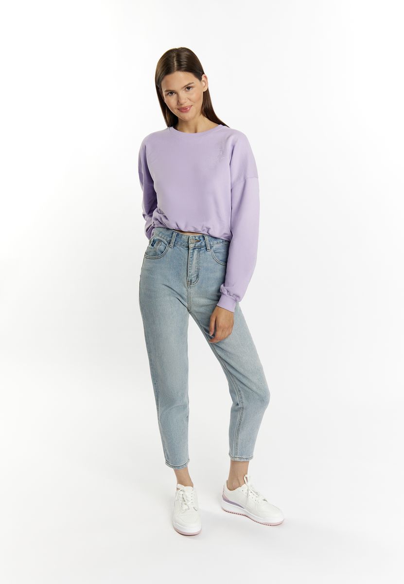 Kurzes Sweatshirt mit Grafik-Stickerei