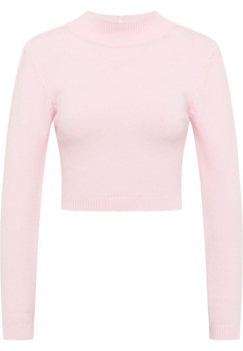 Kurzer Feinstrick-Stehkragen-Pullover