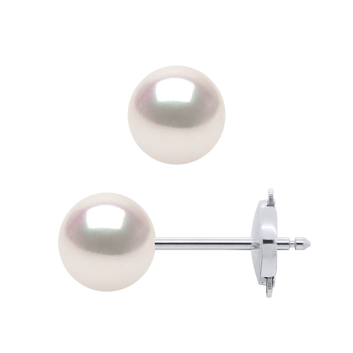 Elegante Akoya-Zuchtperlen-Ohrstecker