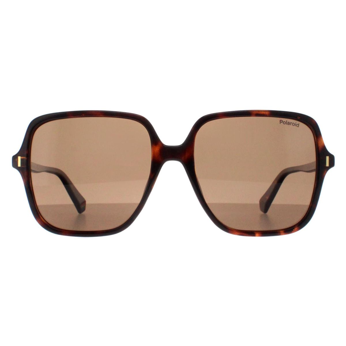 Übergroße quadratische Schildpatt-Sonnenbrille