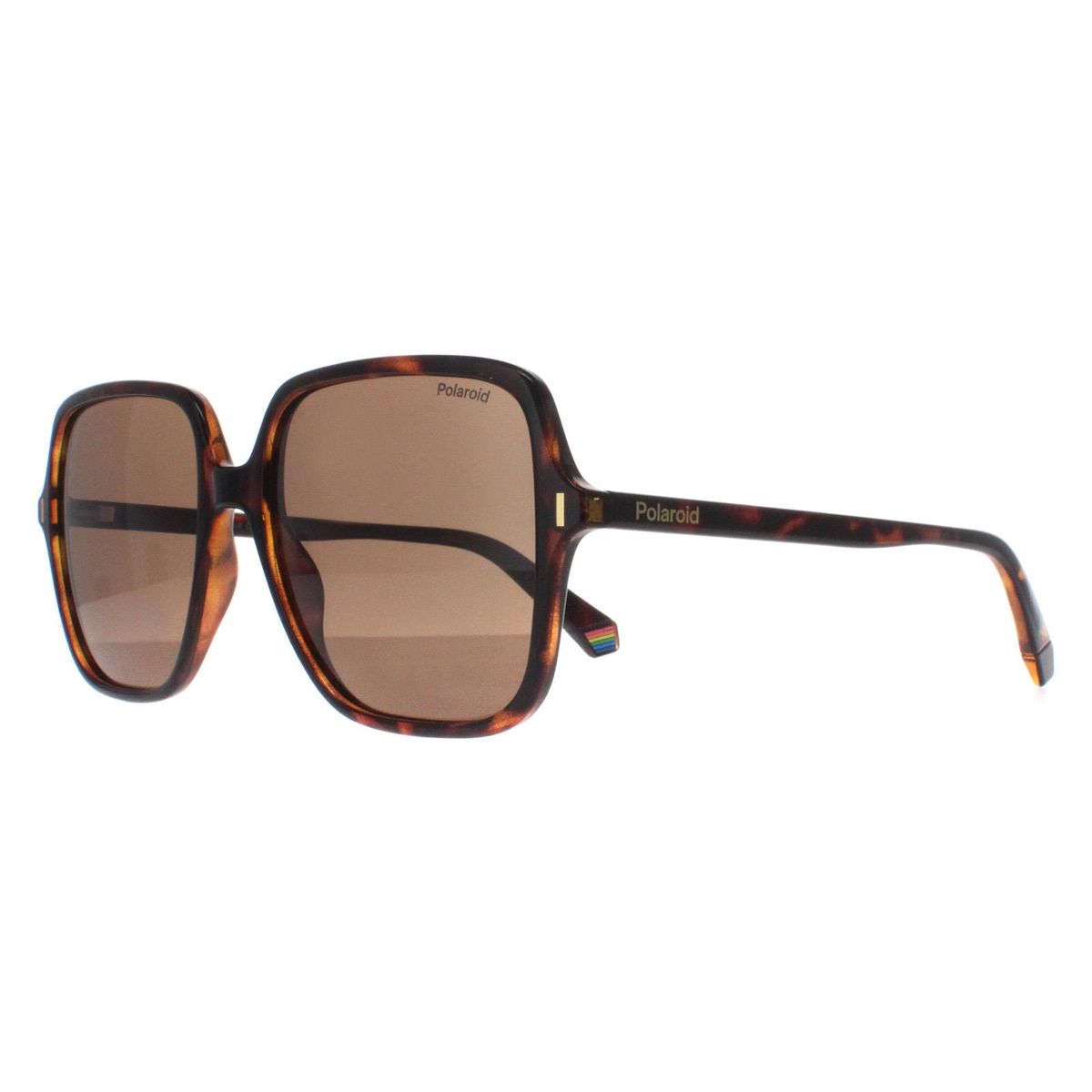 Übergroße quadratische Schildpatt-Sonnenbrille