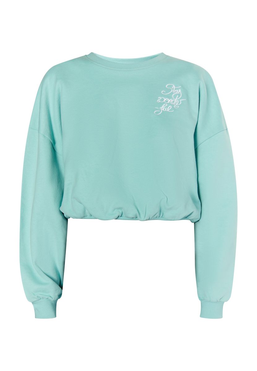 Kurzes Oversize-Sweatshirt mit Stickerei