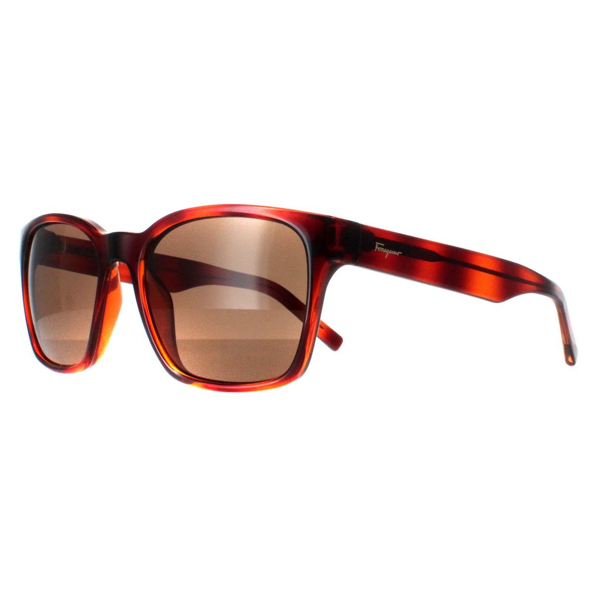 Quadratische Oversize-Sonnenbrille in Schildpatt-Optik