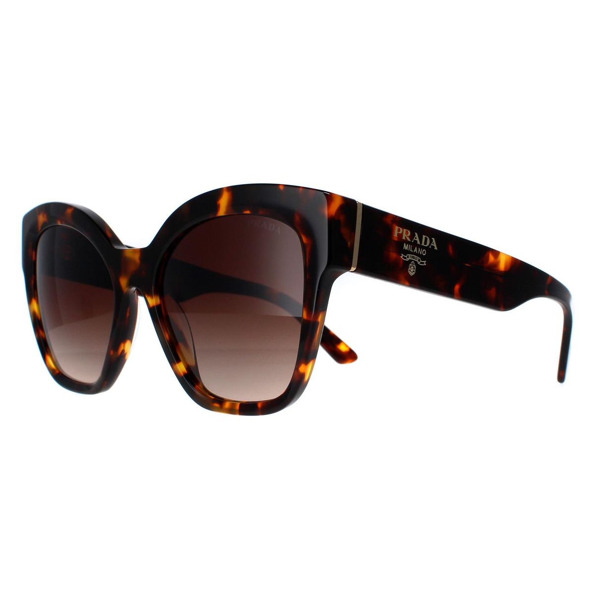 Glamouröse Übergroße Schmetterlings-Sonnenbrille