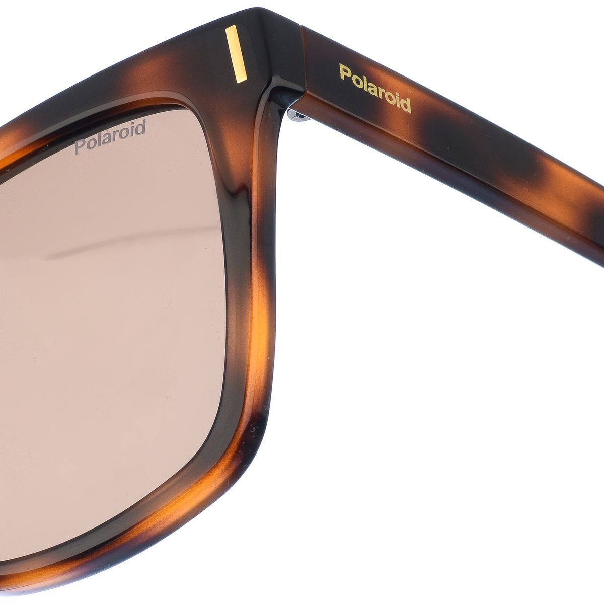 Übergroße Sonnenbrille aus Acetat in Schildpatt-Optik