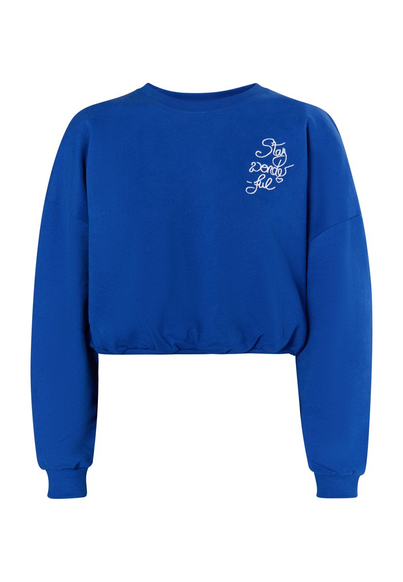 Kurzes Sweatshirt mit Schrift-Stickerei