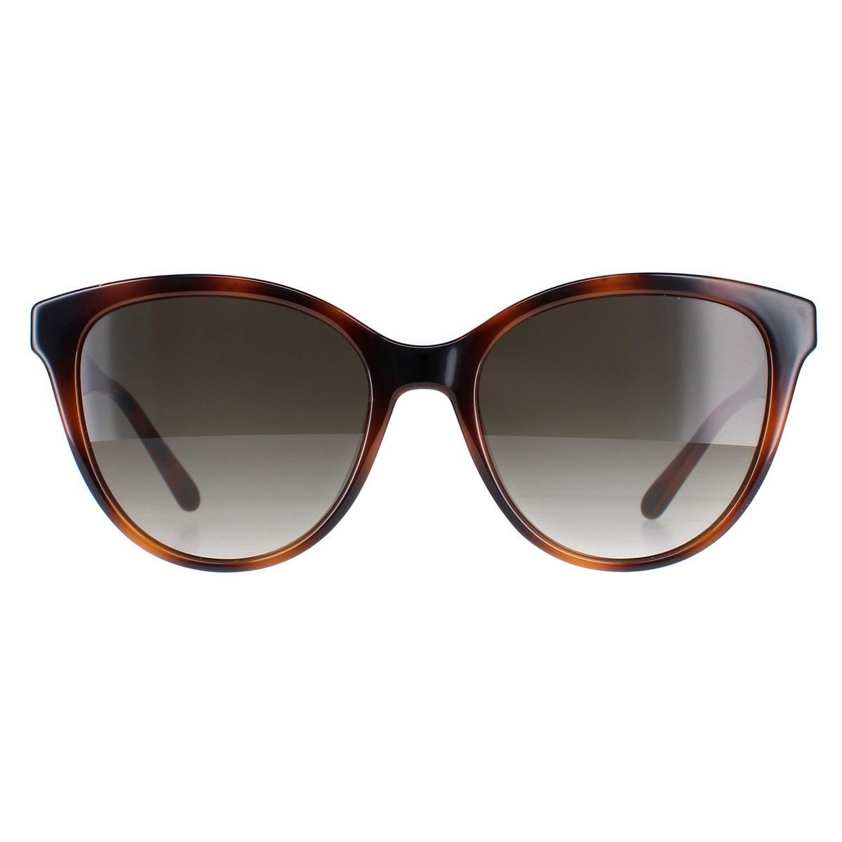 Elegantes Cat-Eye-Modell mit Farbverlauf