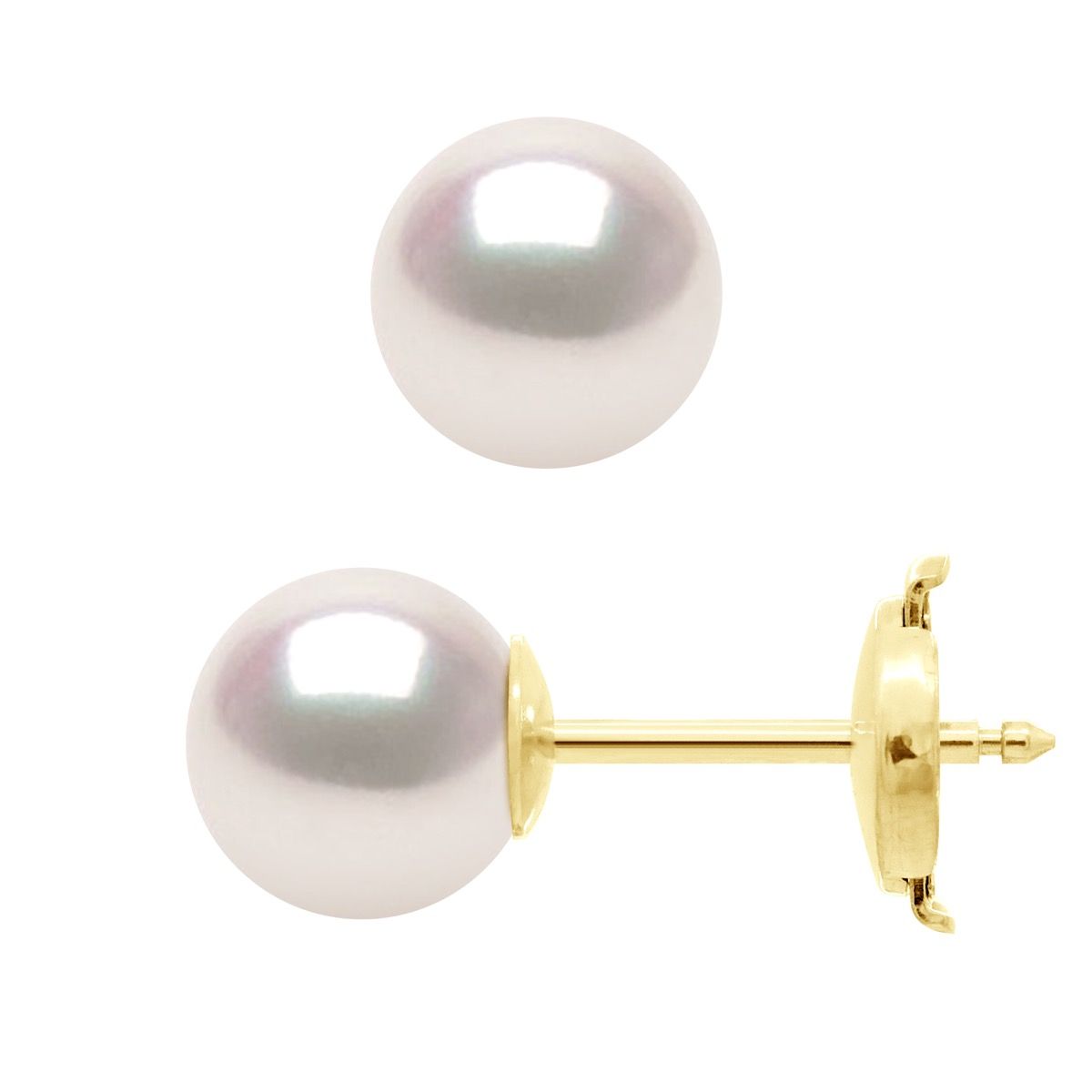 Elegante Akoya Perlenohrstecker