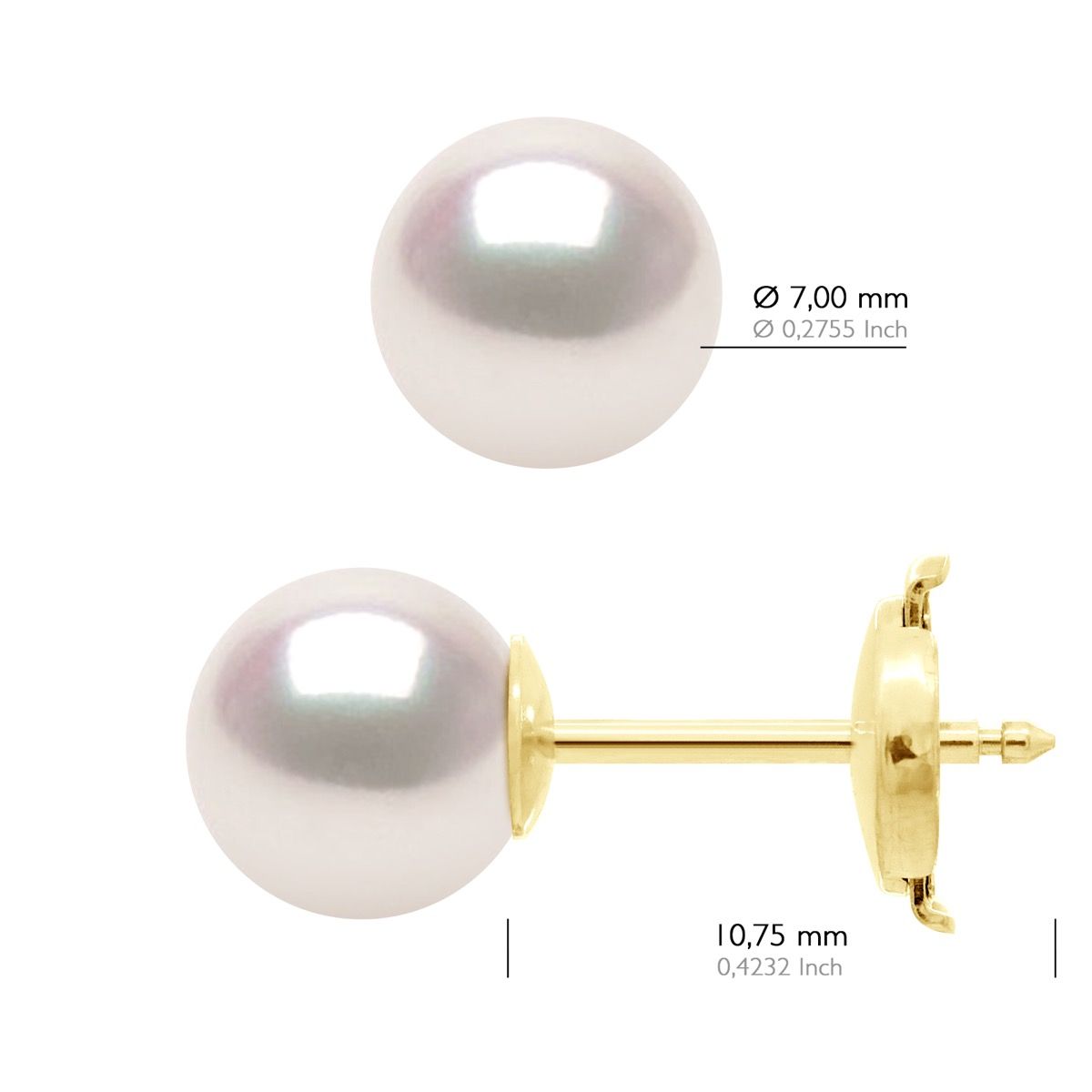 Elegante Akoya Perlenohrstecker