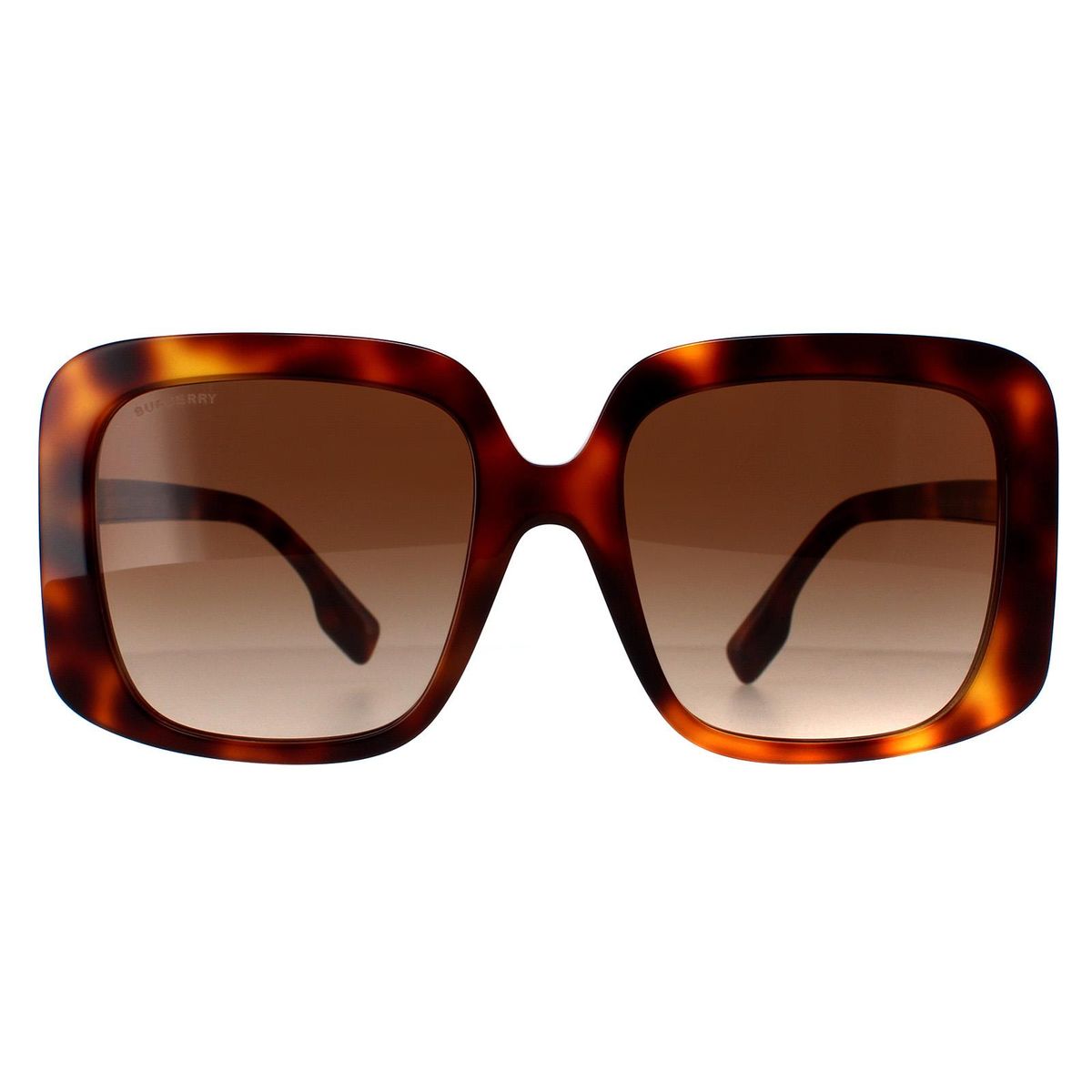Übergroße quadratische Acetat-Sonnenbrille