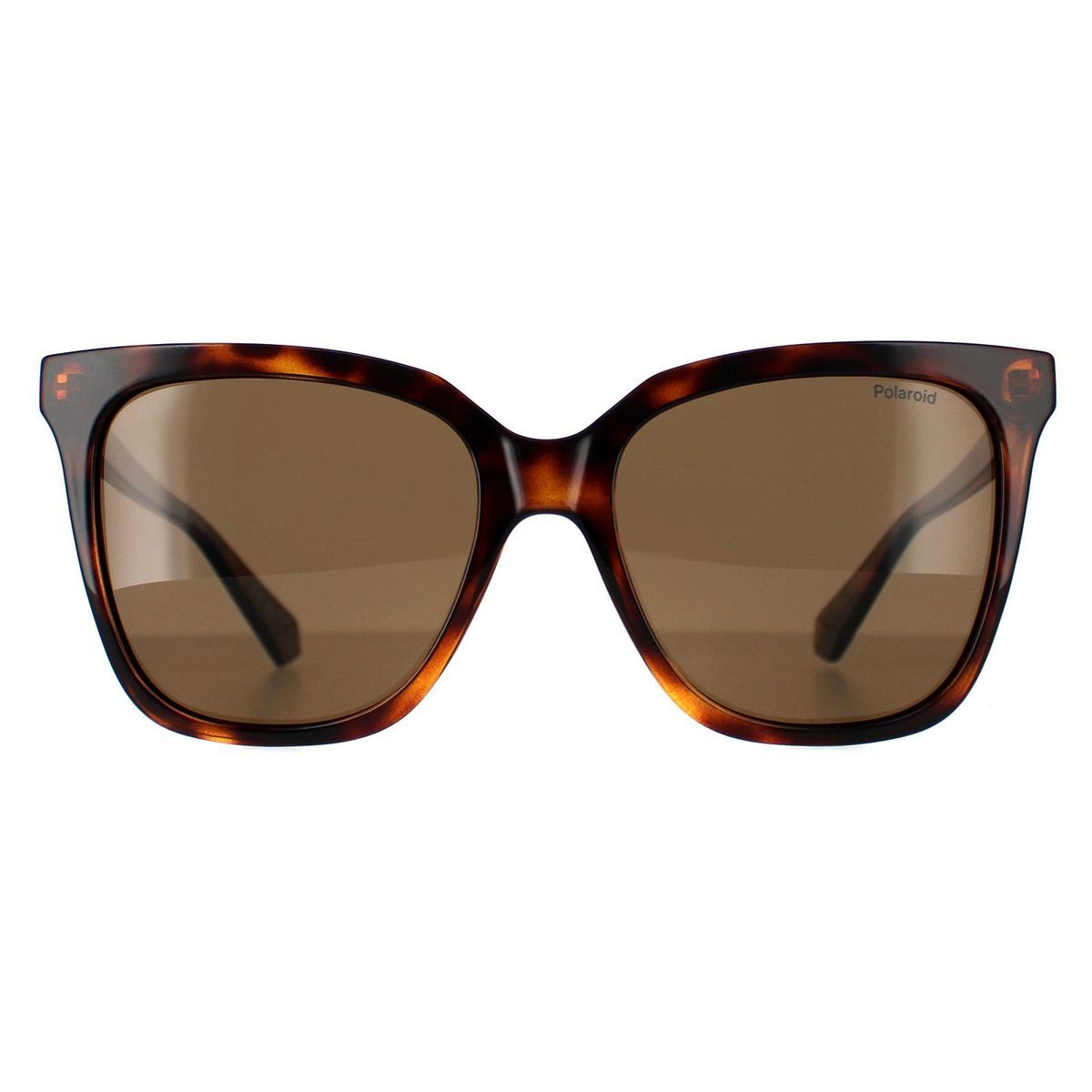 Klassische quadratische Sonnenbrille in Hornoptik