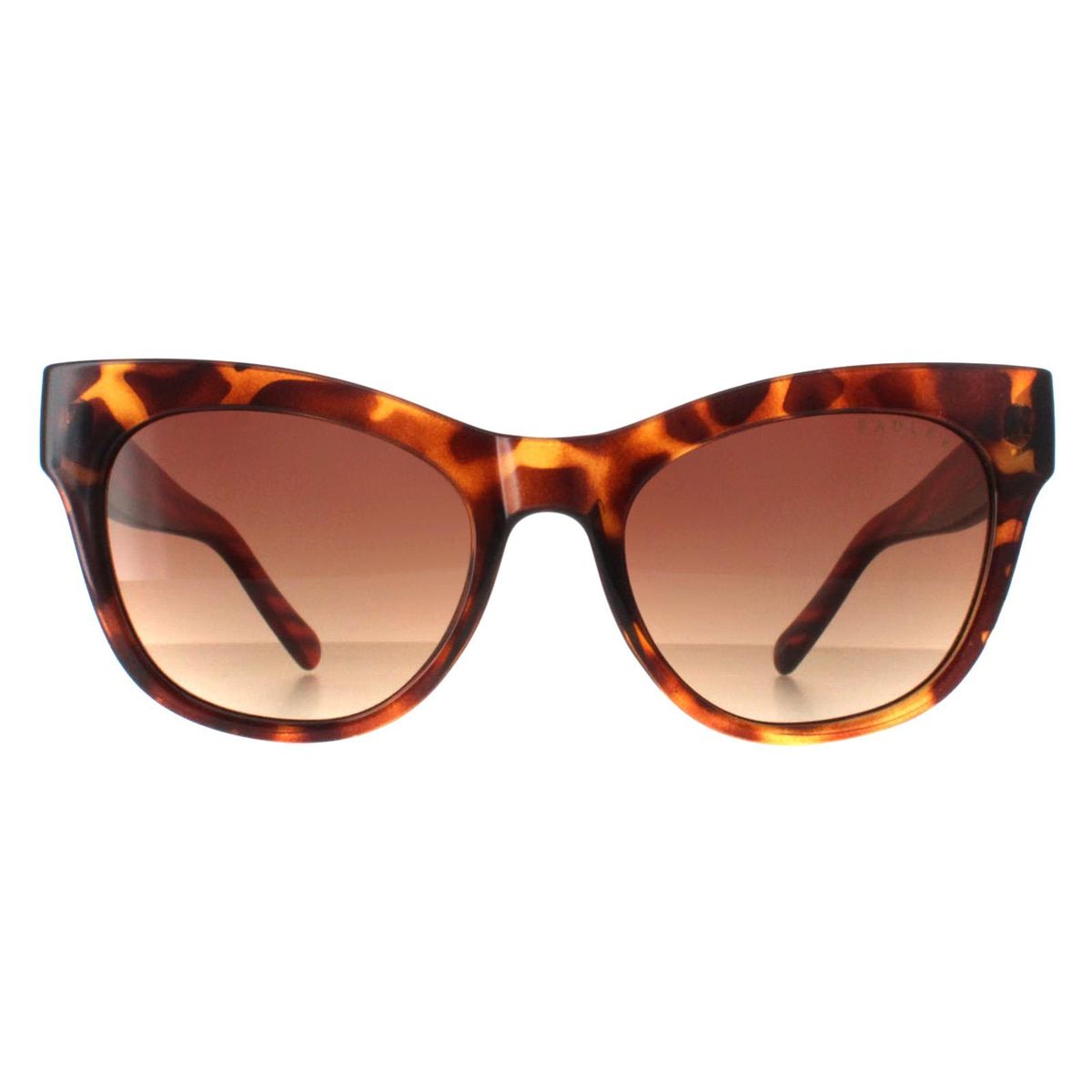 Schicke Cat-Eye-Brille mit Verlauf
