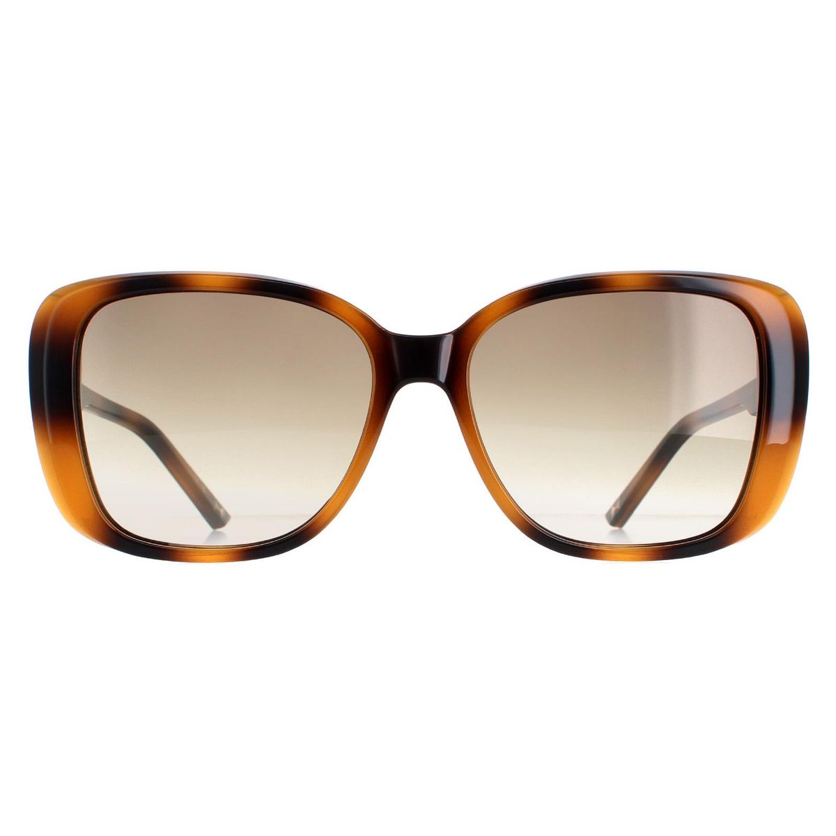 Elegante übergroße Schmetterlingsbrille
