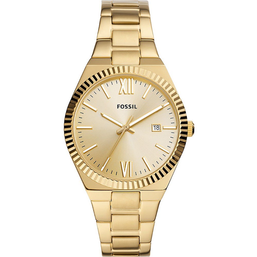 Elegante goldene Uhr kannelierte Lünette