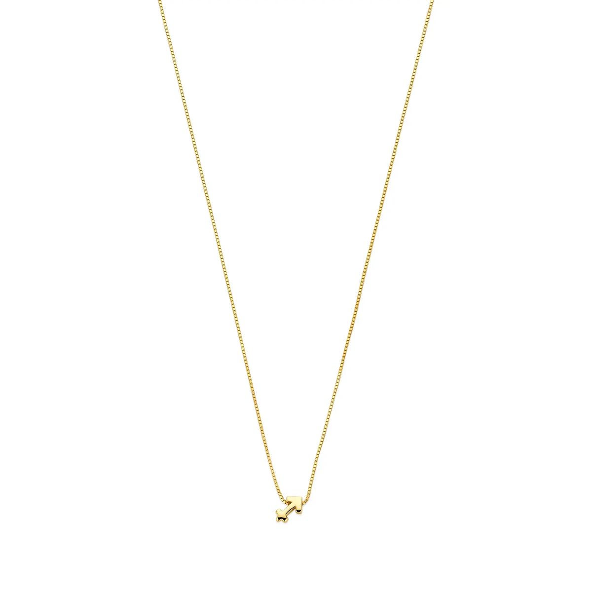 Goldene Schütze Sternzeichen Anhänger Kette