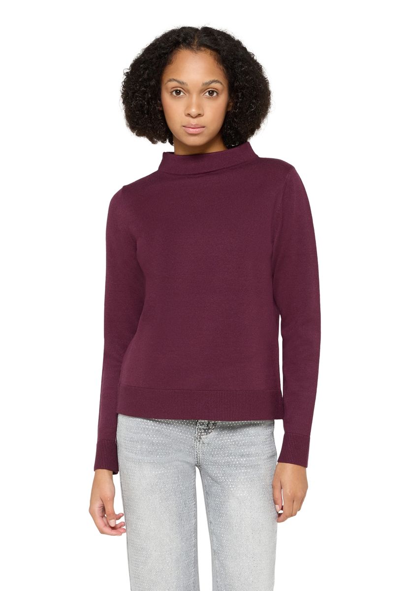 Feinstrickpullover mit Stehkragen