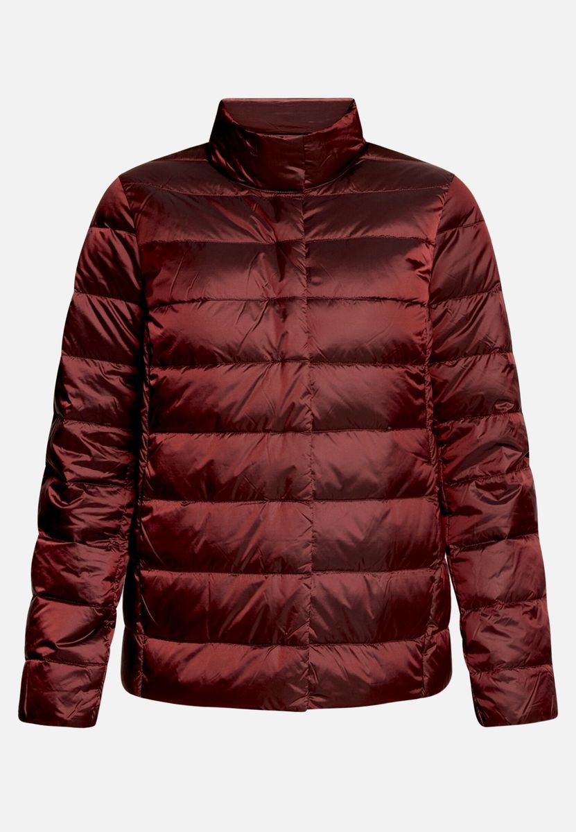 Gesteppte Daunenjacke mit Stehkragen