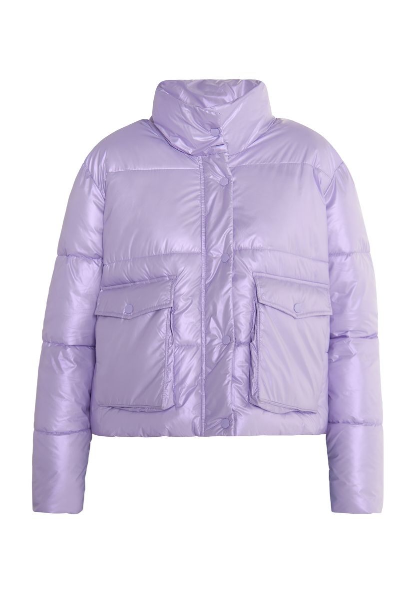 Wattierte Steppjacke mit Stehkragen