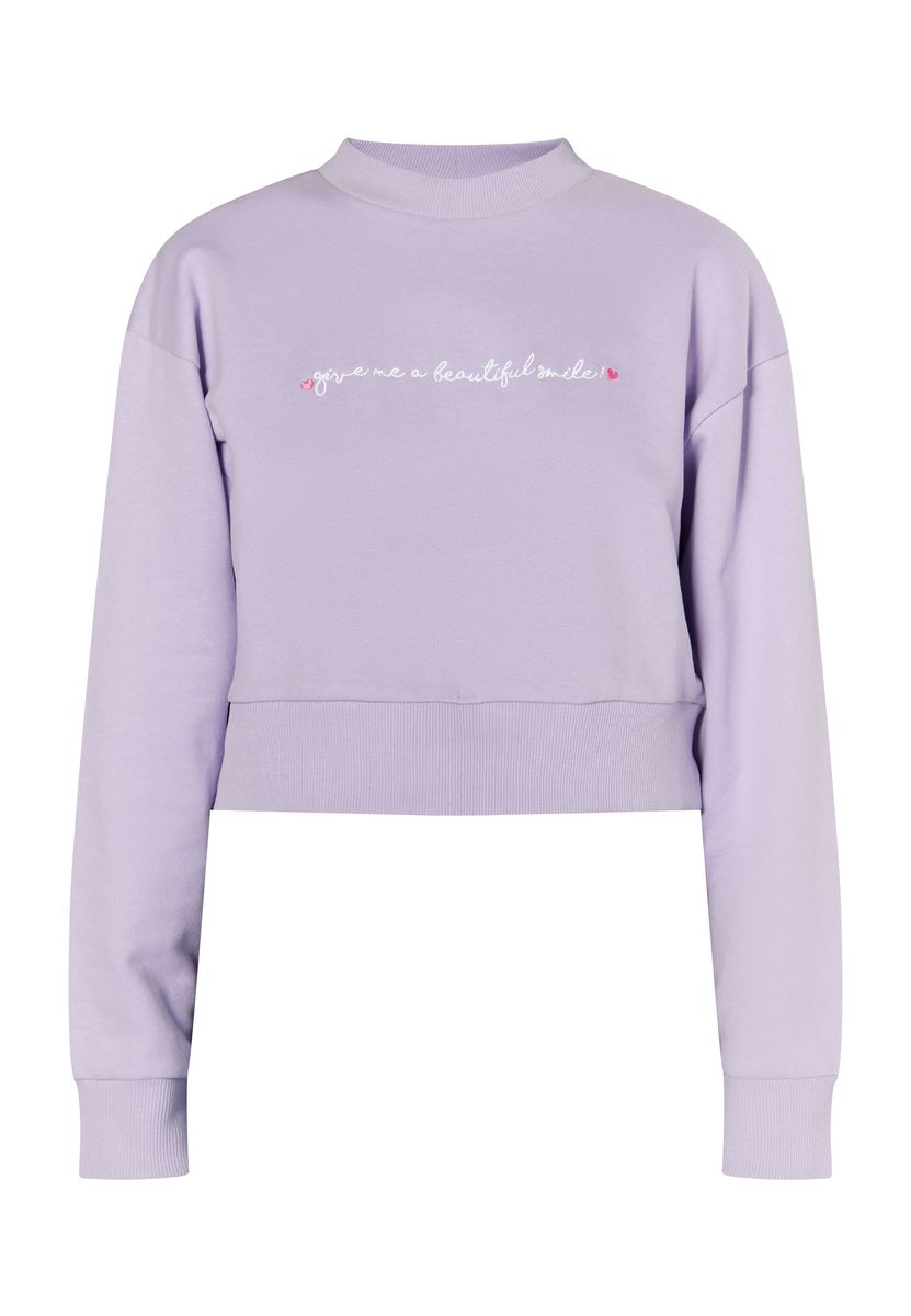 Kurzer Pullover mit Stickerei