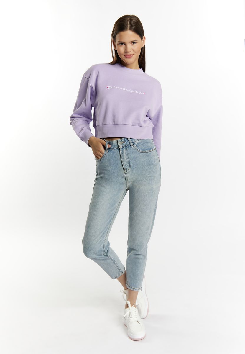 Kurzer Pullover mit Stickerei