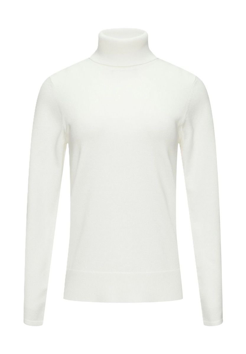 Klassischer Rollkragenpullover mit Rippstruktur