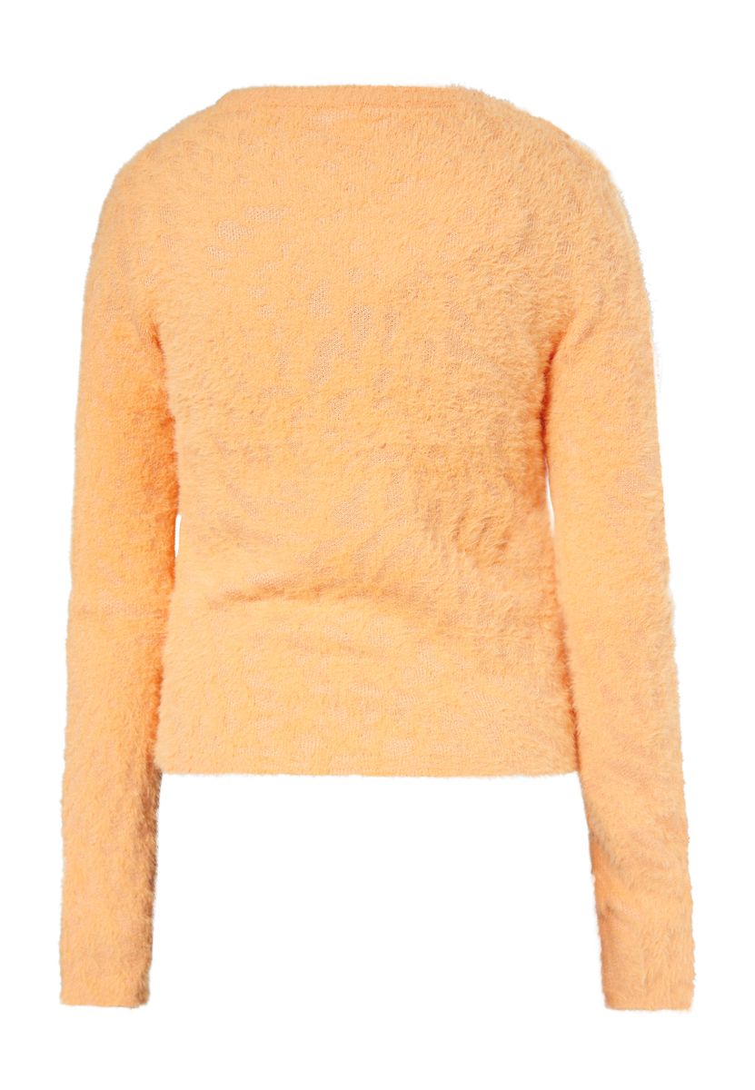 Flauschiger Jacquard-Pullover mit Zebramuster