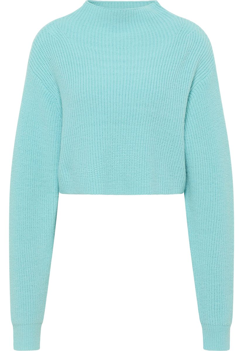 Kurzer Rippstrick-Pullover mit Stehkragen
