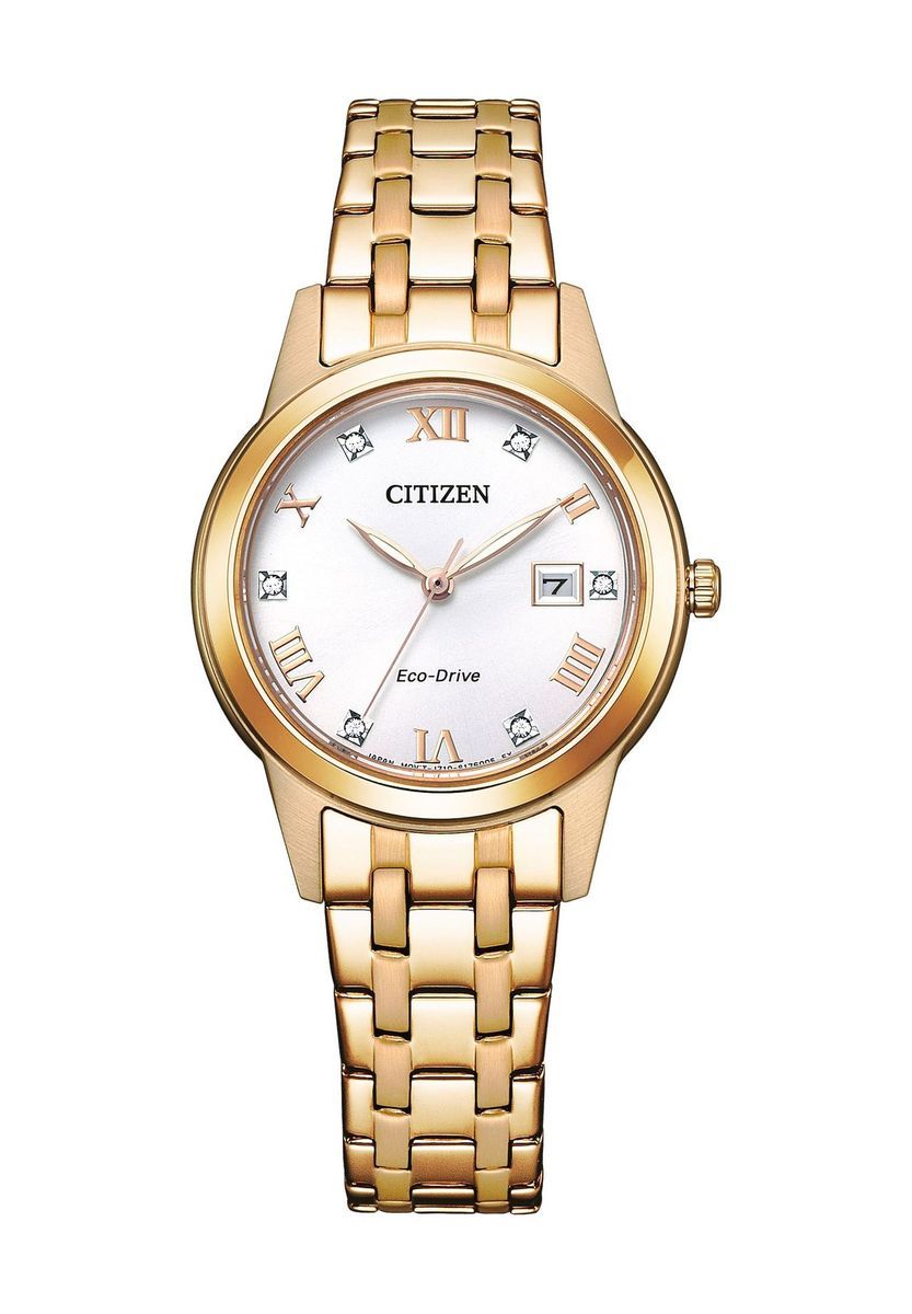 Elegante Eco-Drive Uhr mit Römischen Ziffern