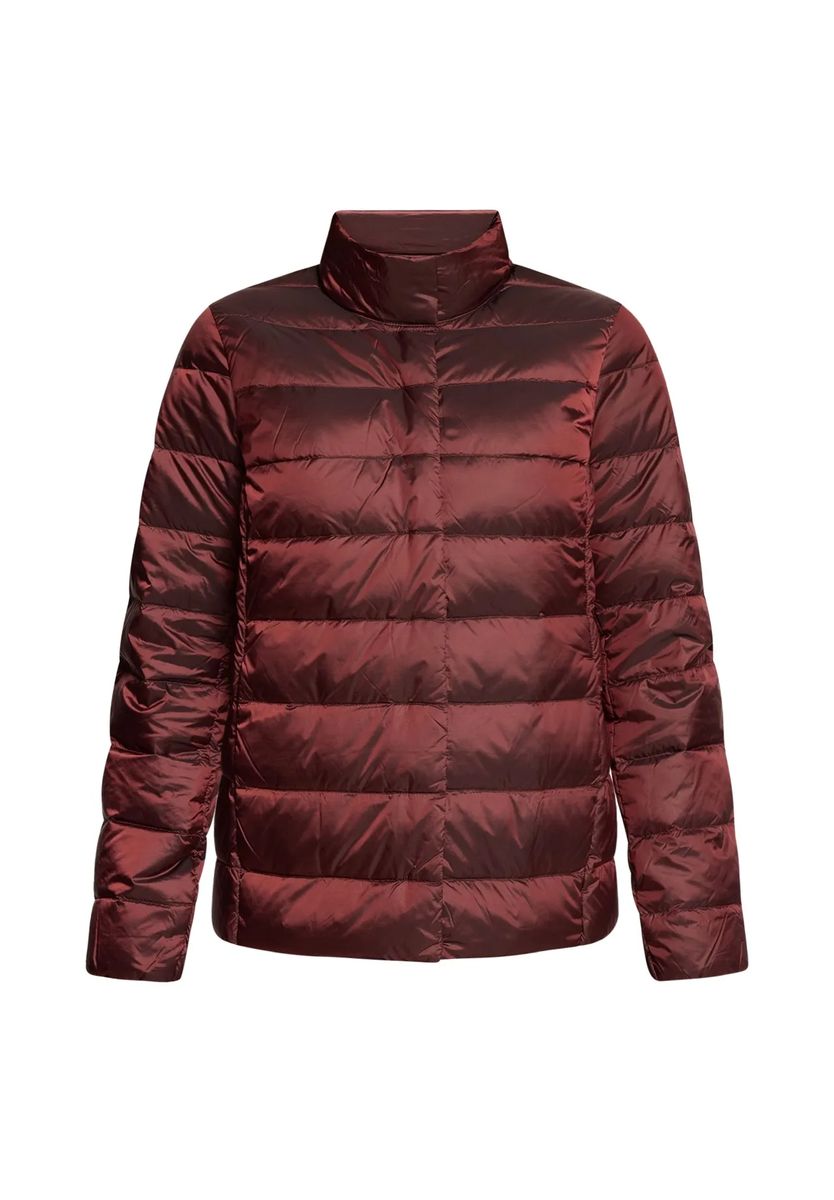 Gesteppte Daunenjacke mit Stehkragen
