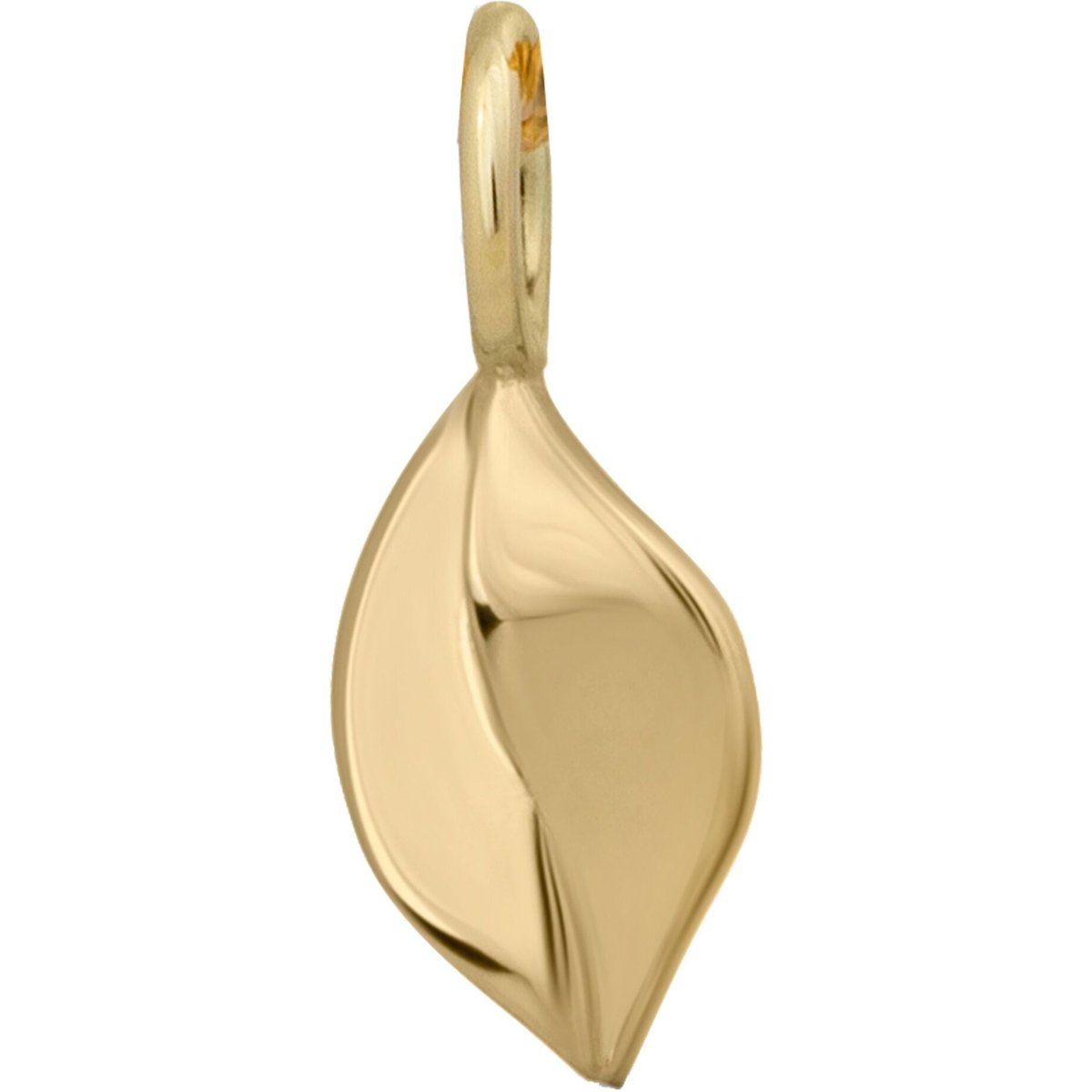Eleganter Goldanhänger mit Blattmotiv