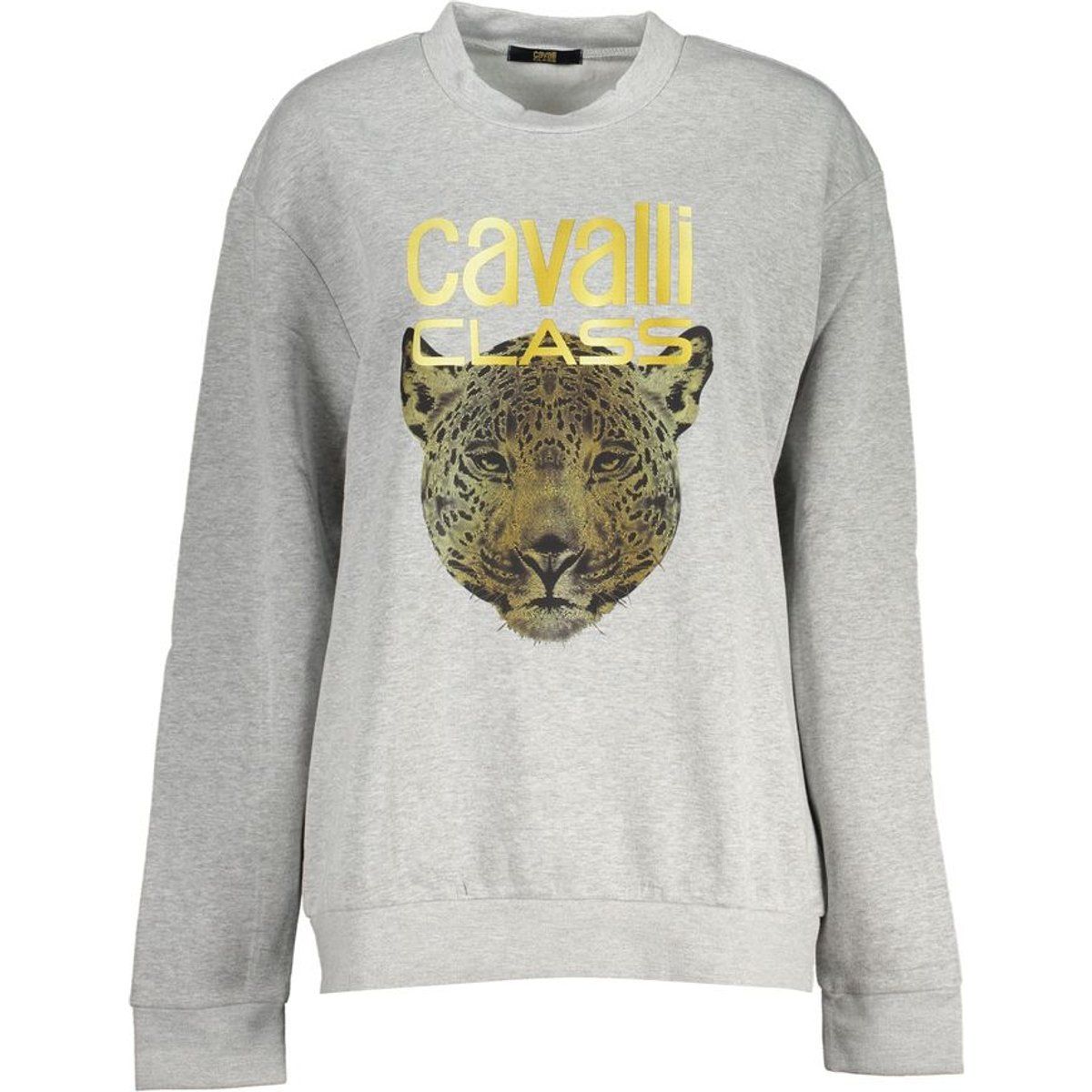 Relaxed Sweatshirt mit Jaguar-Grafikprint