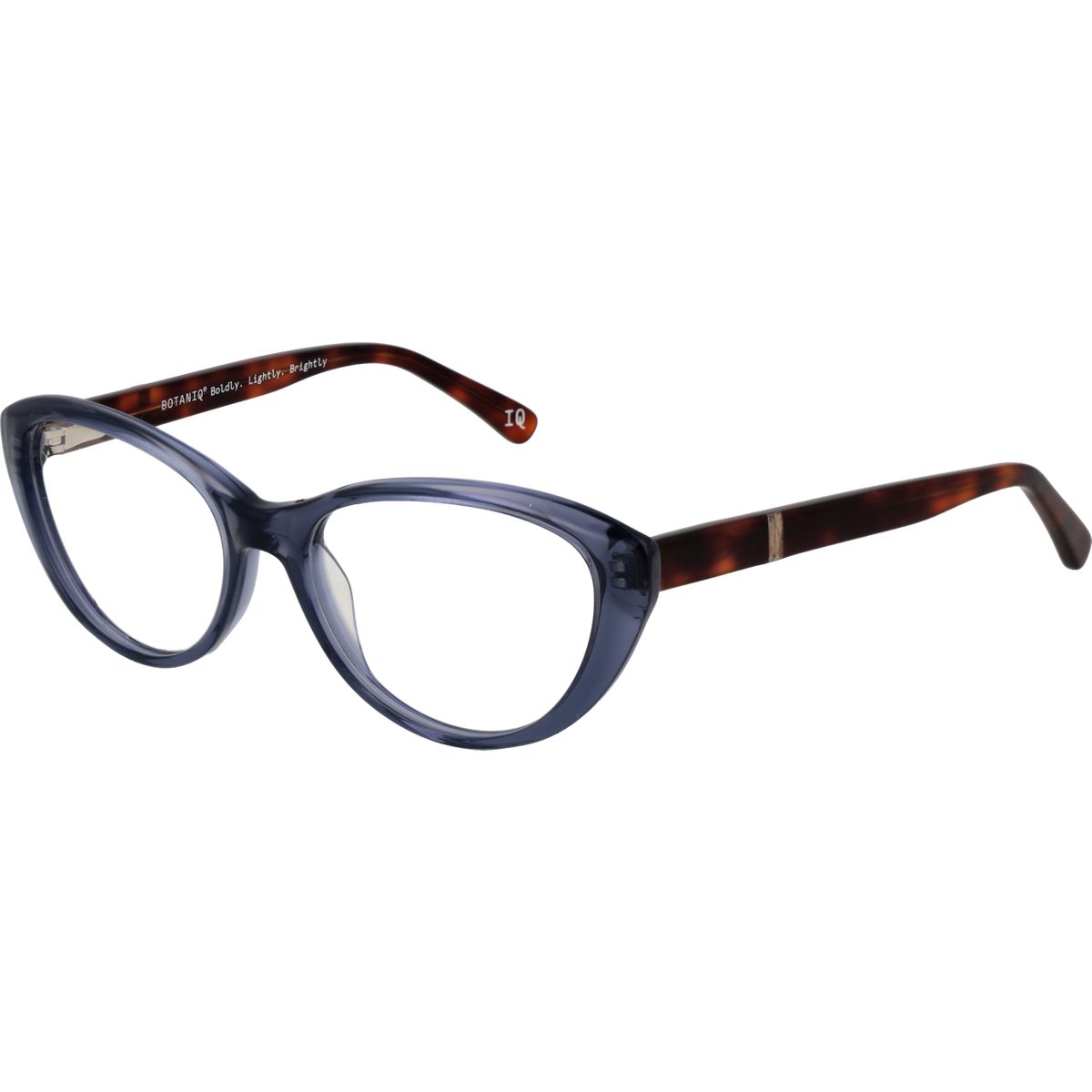 Elegante transparente Cat-Eye-Brillenfassung